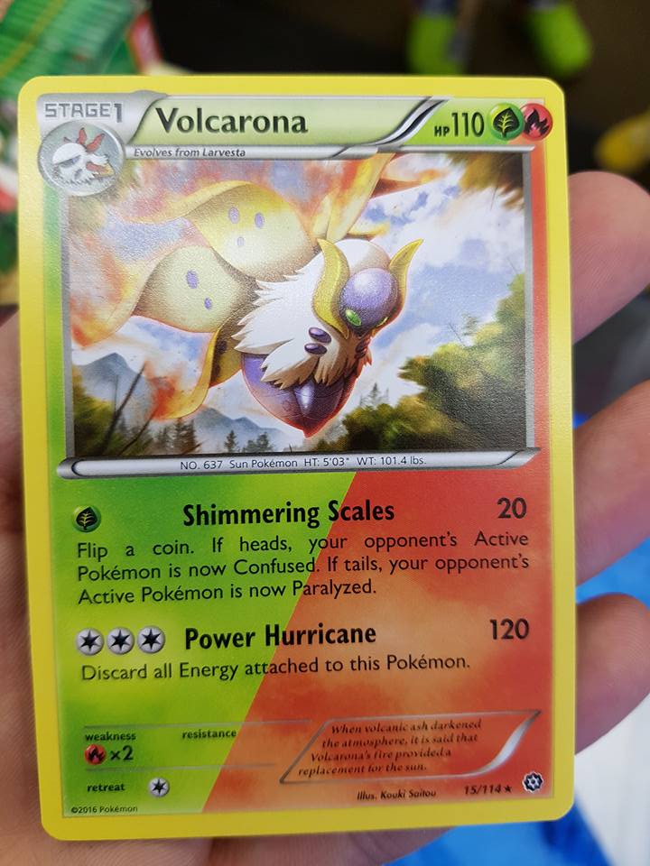 New Pokémon cards just arrived in store