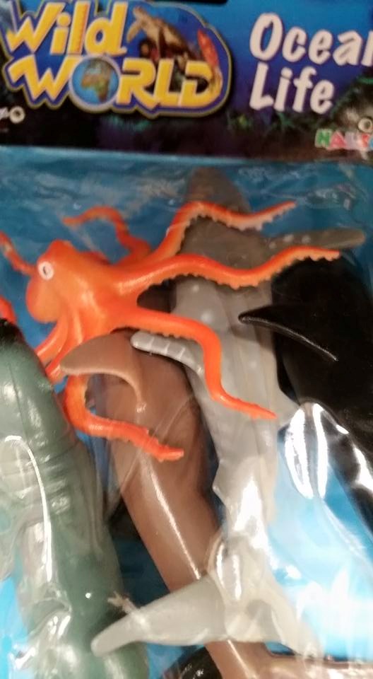 One Octopus, As Ordered!