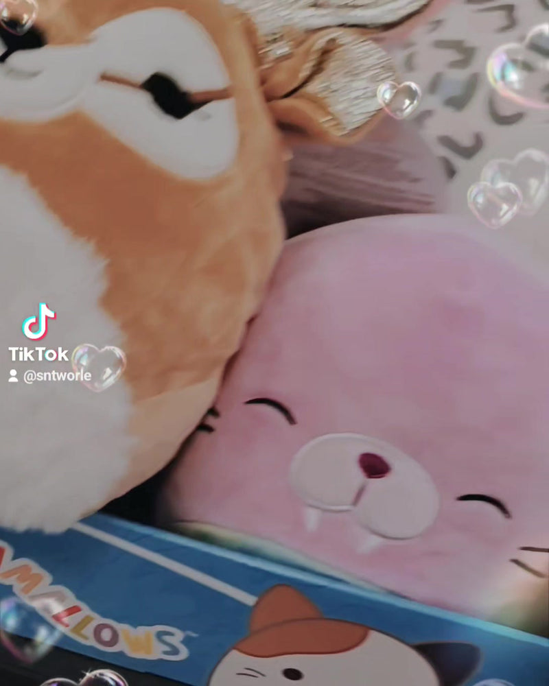 New Squishmallows in store