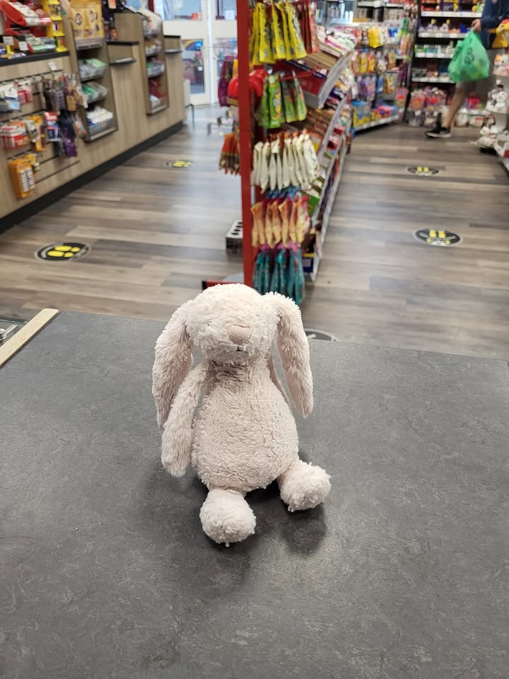 Have you seen Bunny? A little jelly cat needs help