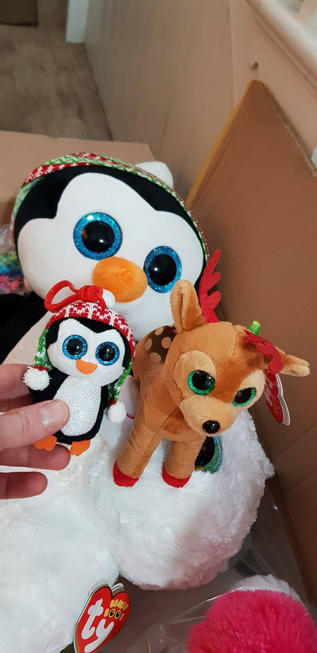 Fresh TY delivery — penguins, flamingos and more