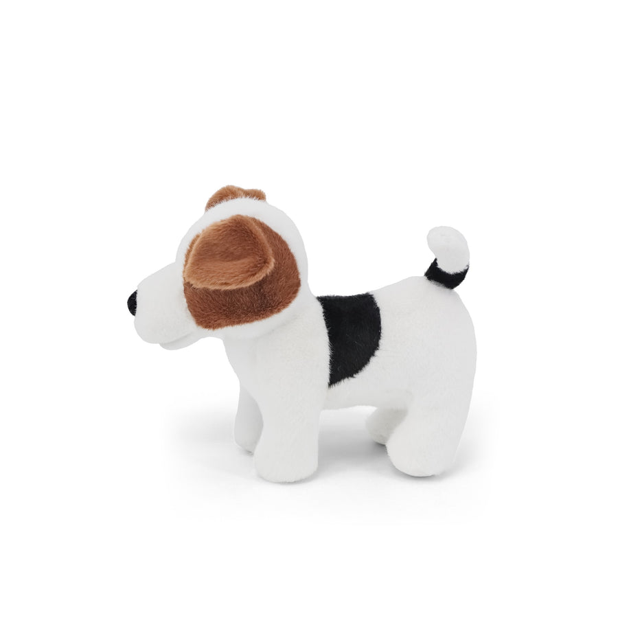 GOSH! Jack Russell Softie