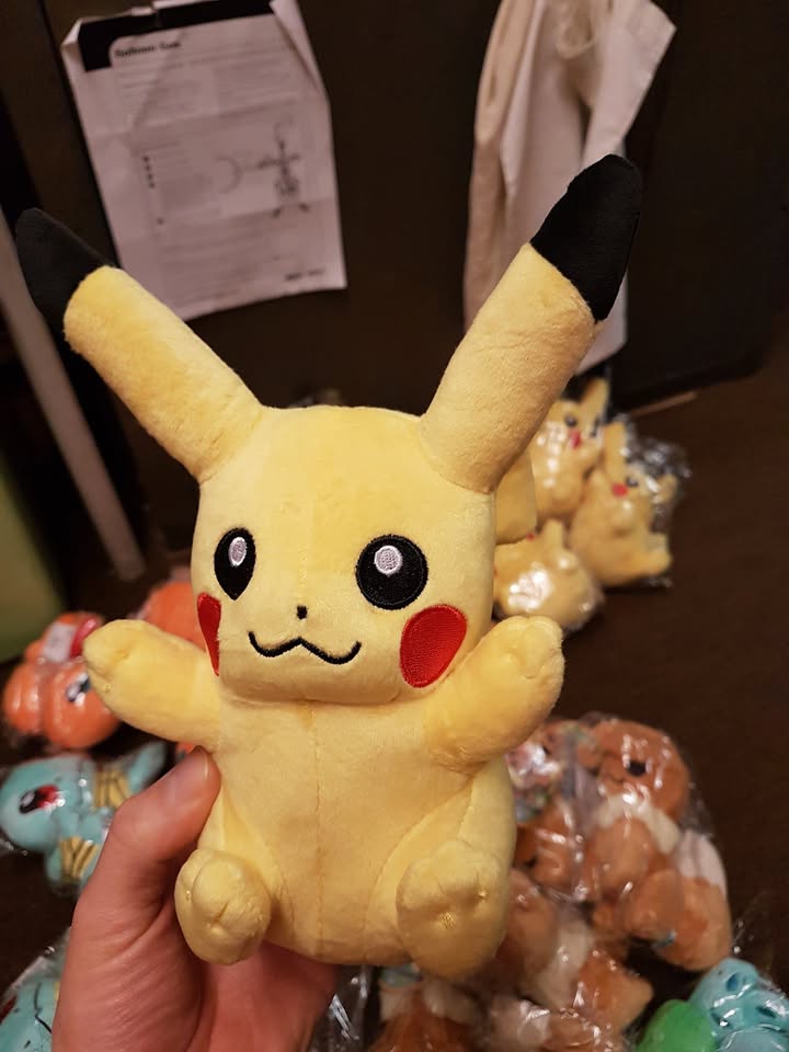 Pokémon delivery arrived — soft toys, cards and more
