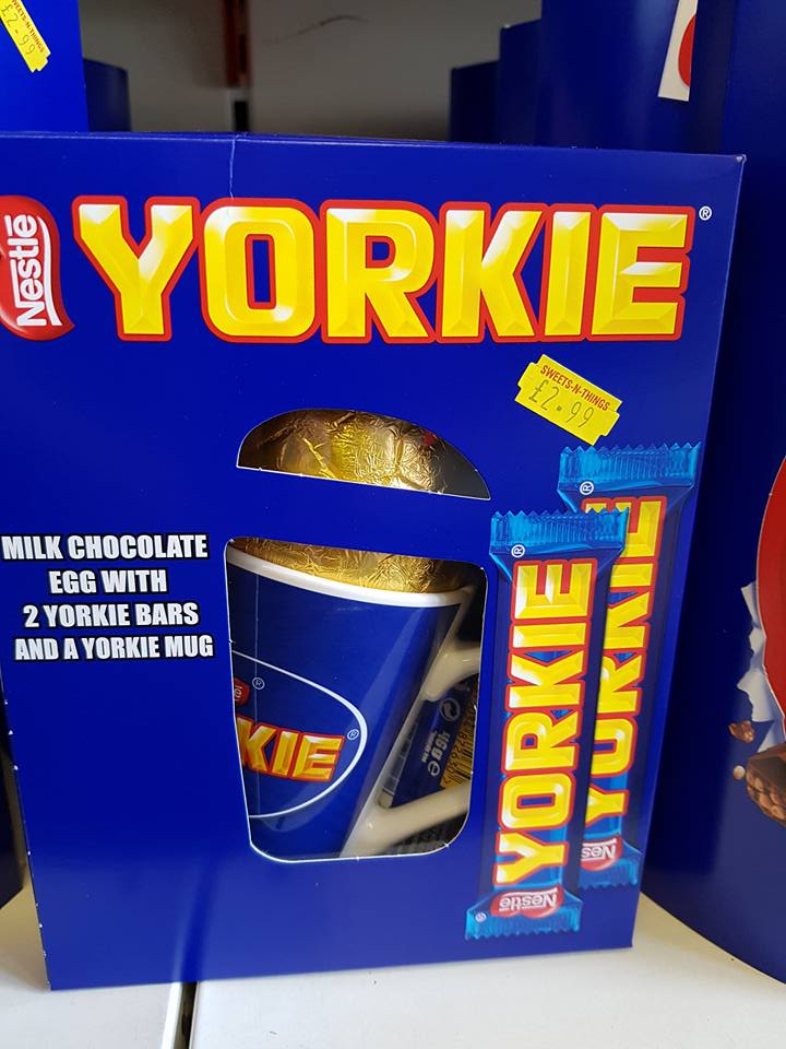 Yorkie egg sets in stock now