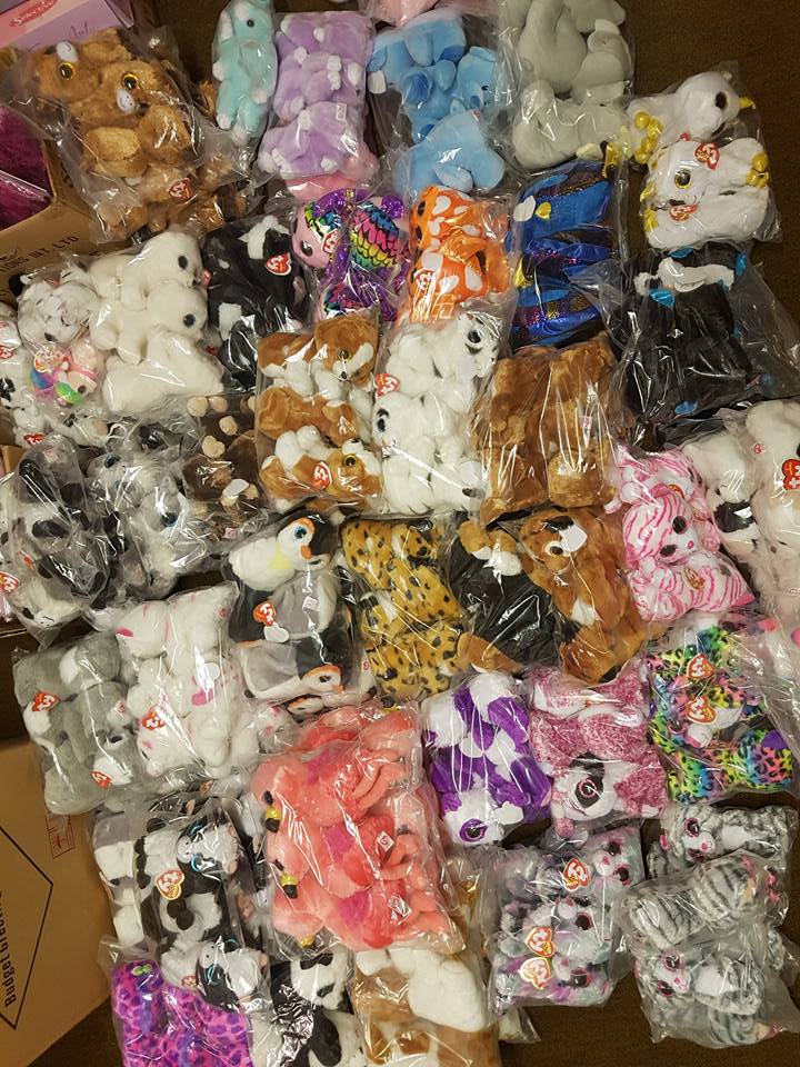 Ty Beanie Boo delivery in — big haul!