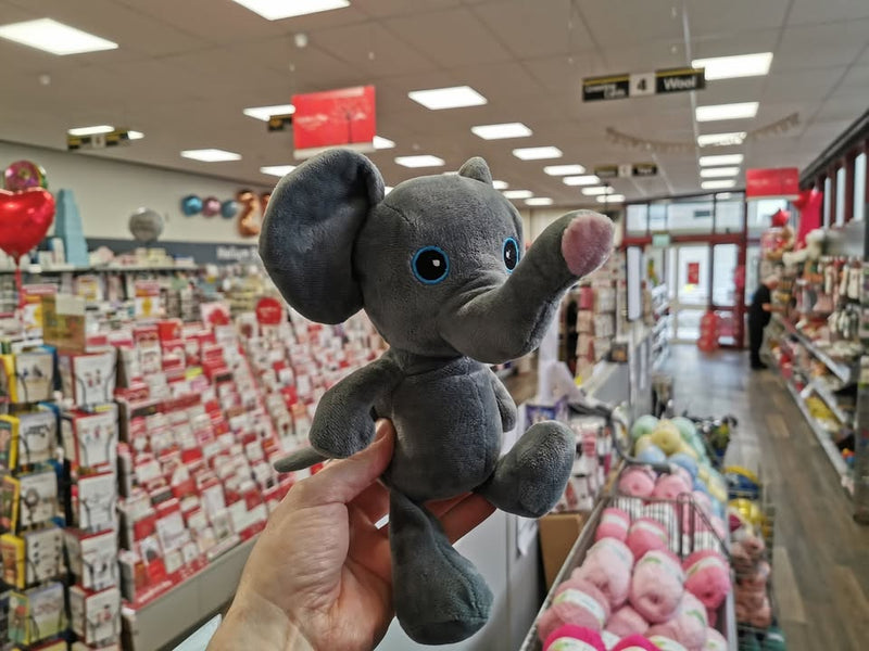 Lost elephant looking for its owner