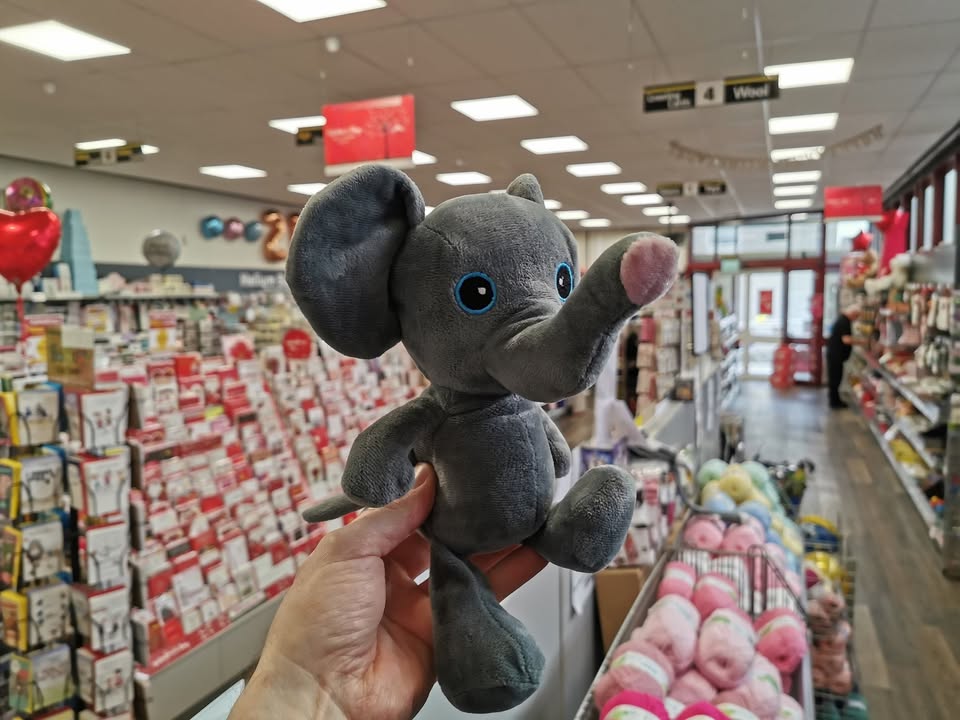 Lost elephant looking for its owner