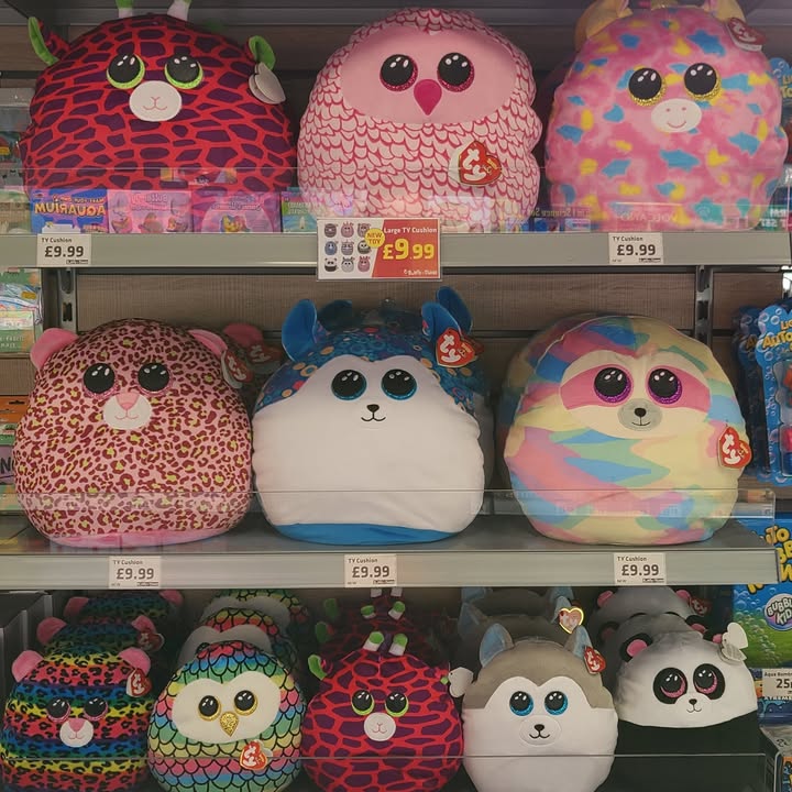 New TY cushions and Beanie Boos in store