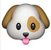 Brand new emoji cushions have arrived