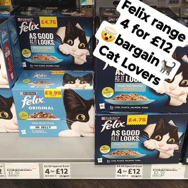 Felix pouches on special offer this week