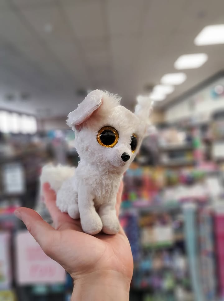 Lost Beanie Boo: Help us reunite!