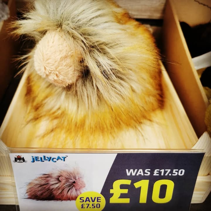 Jellycat specials: Tony and Gordon at £10