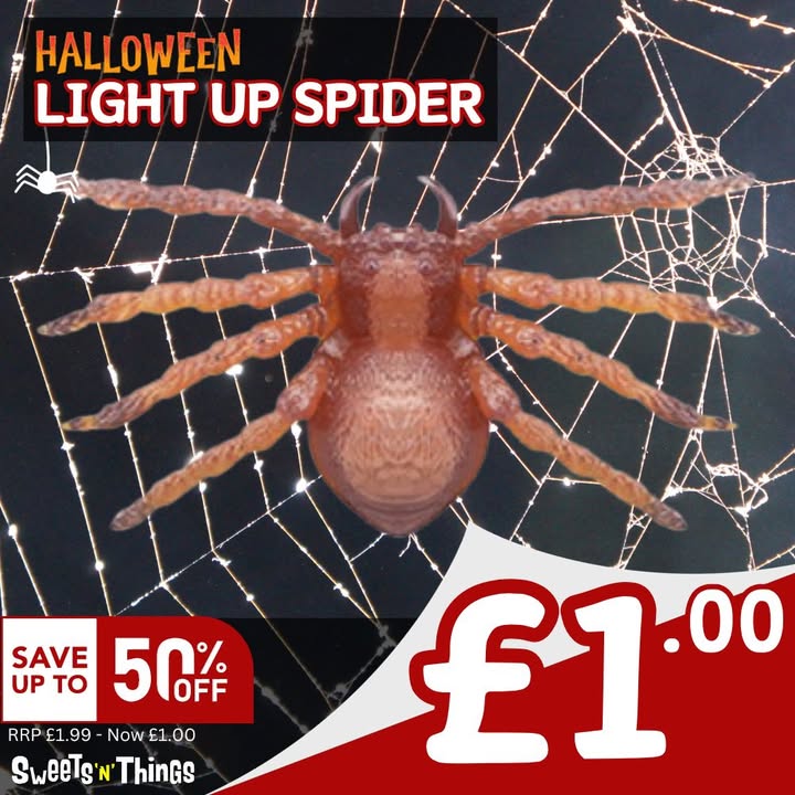 Halloween sorted – loads at just £1