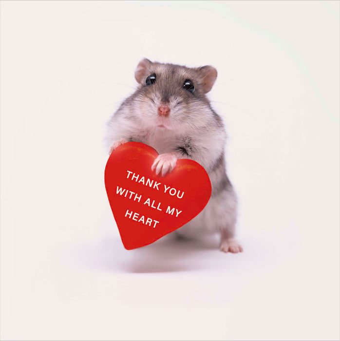 Camden Photographic Thank Card for You, Conv Design