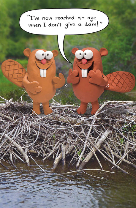 Out of the Ark Birthday Card for Hum, Hum Design