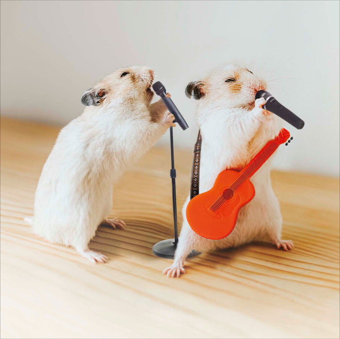 Camden Photographic Open Card for Blank, Conv Design