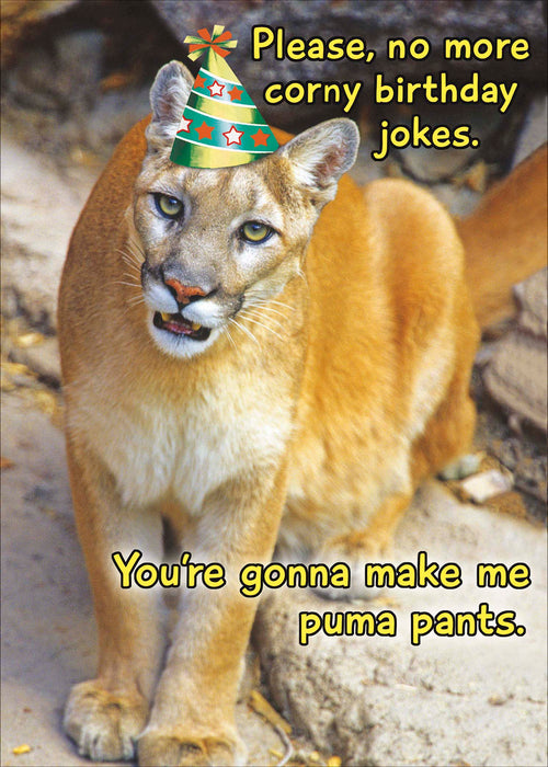 Recycled Paper Group Birthday Card for Hum, Hum Design