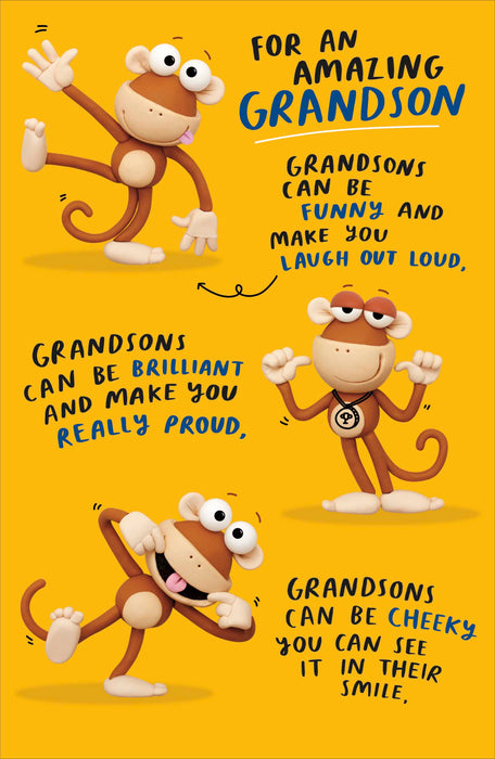 Crackers | Birthday Card Grandson Hum | Happy Birthday Gifts | Him, Boys, Men | With Envelope