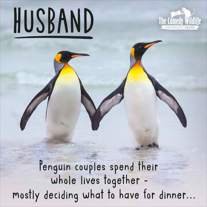 Comedy Wildlife Birthday Card for Husband, Hum Design