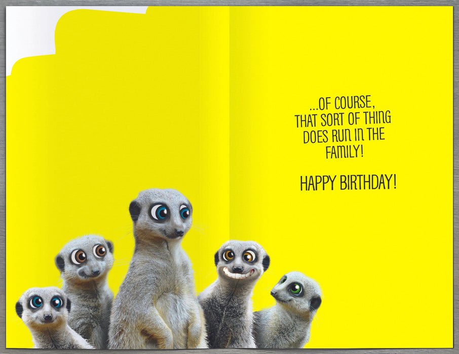 Twisted Whiskers Birthday Card for Brother, Hum Design