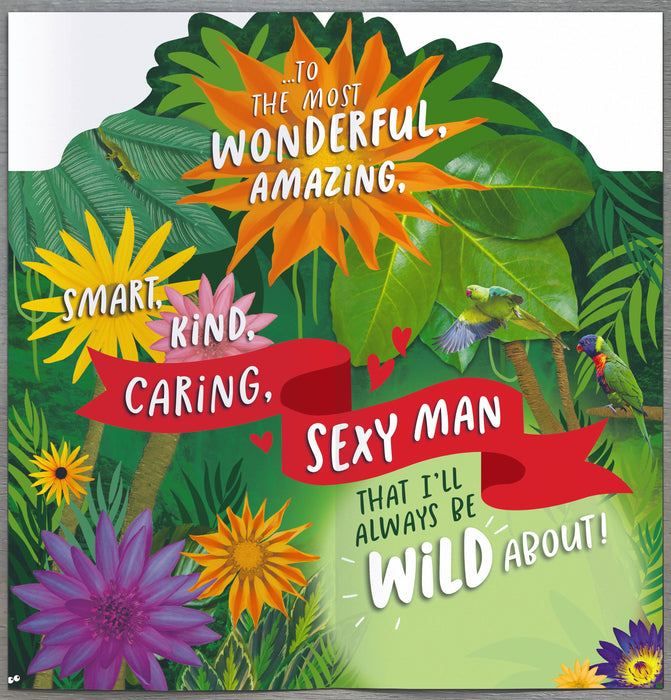 Hanson Birthday Card for Husband, Hum Design