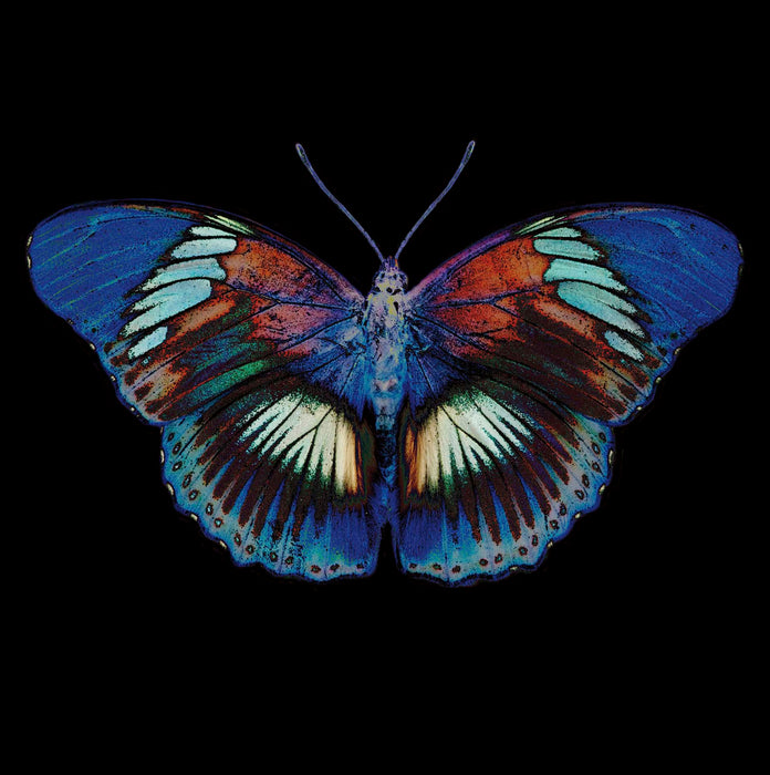 Camden Photographic Open Card for Blank, Conv Design