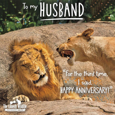 Hanson White | Wedding Anniversary Card Husband | Humorous Design | With Envelope