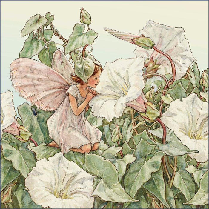 Flower Fairies Open Card for Blank, Cute Design