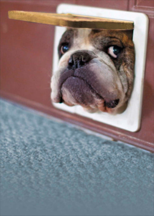 Recycled Paper Group Birthday Card for Hum, Hum Design