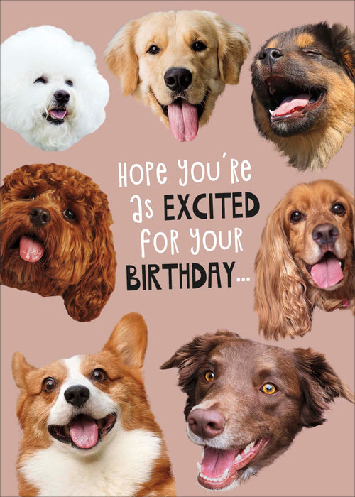 Giggles Birthday Card for Hum, Hum Design