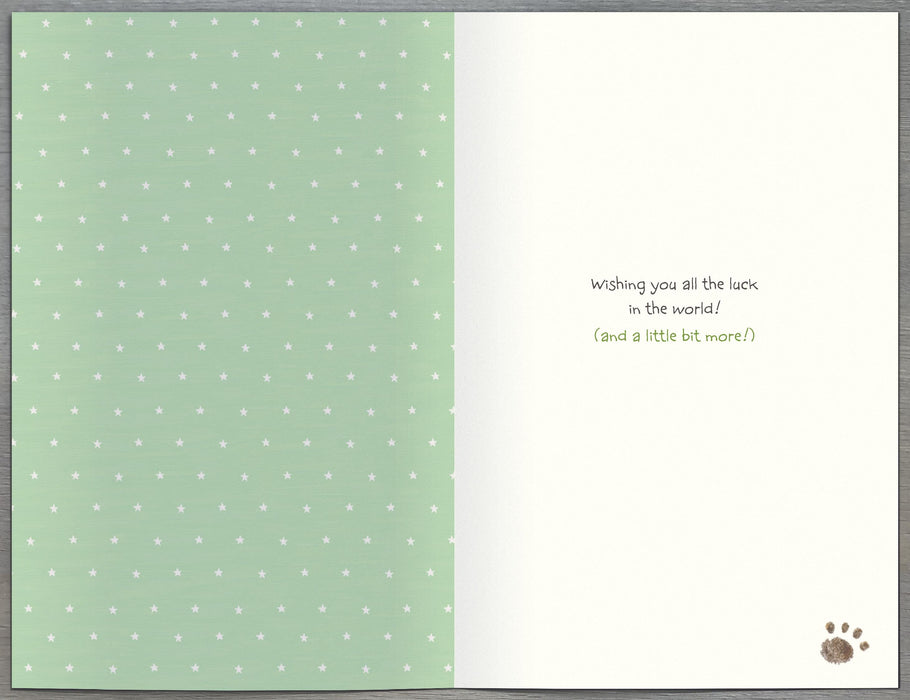 Lots | Good Luck Cute | Card & Gift | With Envelope