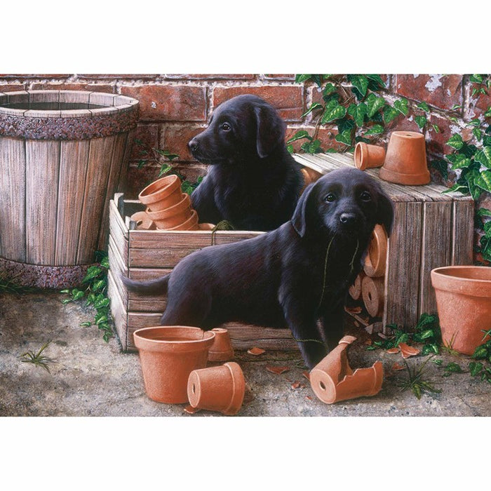 500 Piece Jigsaw Puzzle - Bill and Ben Labrador Puppies