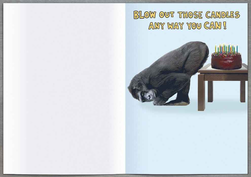 Recycled Paper Group Birthday Card for Hum, Hum Design