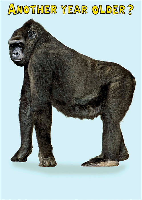 Recycled Paper Group Birthday Card for Hum, Hum Design