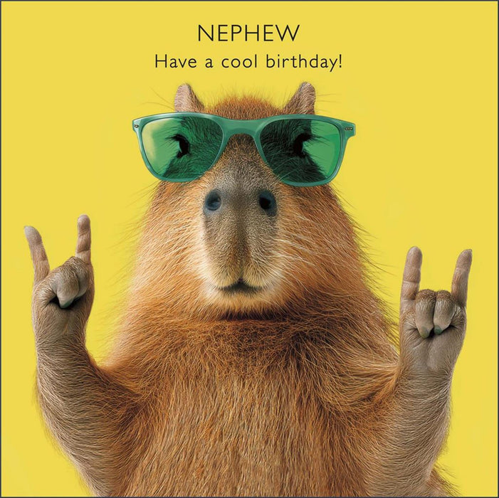 Camden Graphics | Birthday Card Nephew | Conventional Design | With Envelope