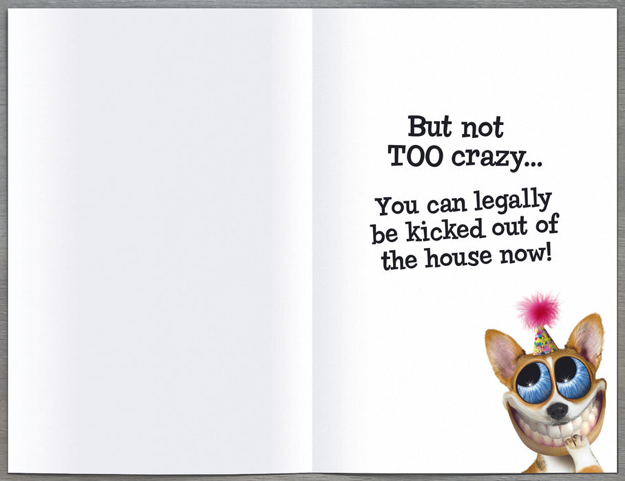 Giggles Birthday Card for 18th, Hum Design