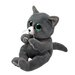Ty Beanie Bellies Regular - Binx the Cat soft toy - side
