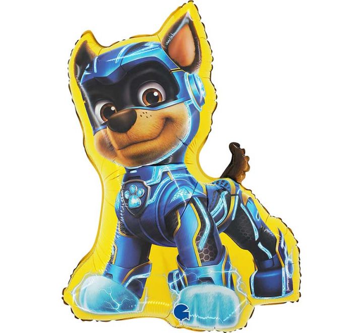 Paw Patrol 