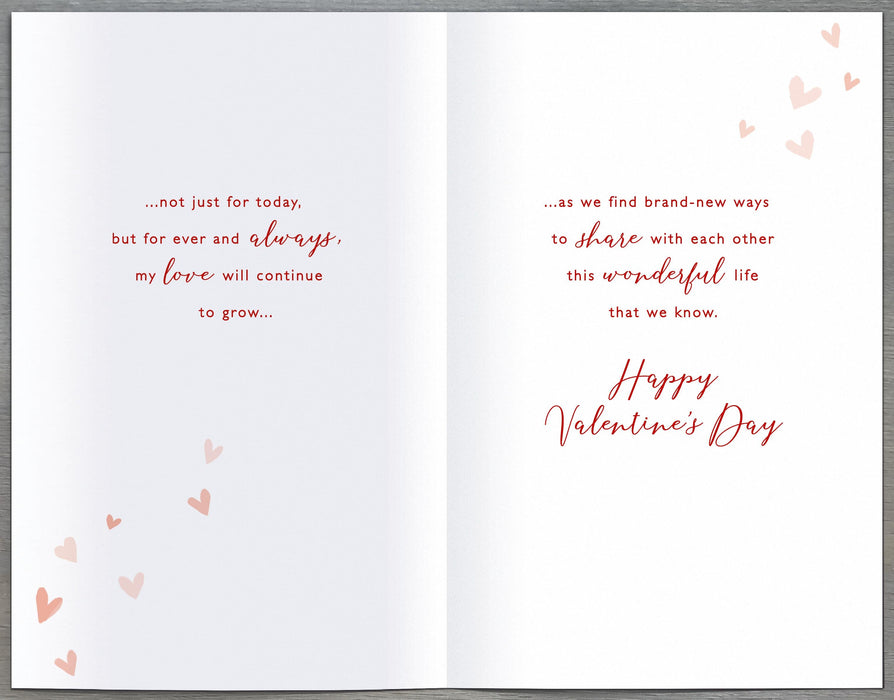 Gibson Valentine's Day Card for Partner, 564691