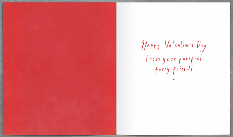 Carlton Valentine's Day Card for Partner, 564722