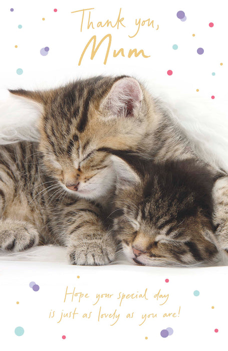 Talk to the Paw Mother's Day Card for Mum, Cute Design, 566054