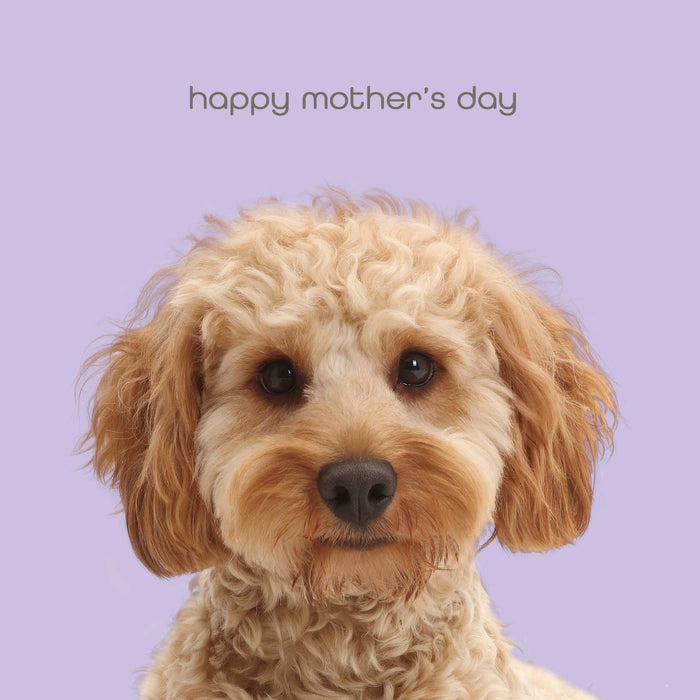 Talk to the Paw Mother's Day Card for Mum, 566060
