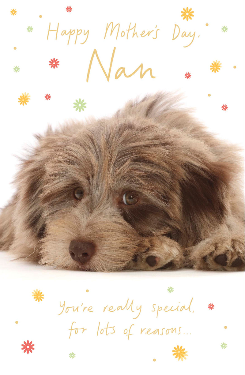 Talk to the Paw Mother's Day Card for Grandma, Cute Design, 566791