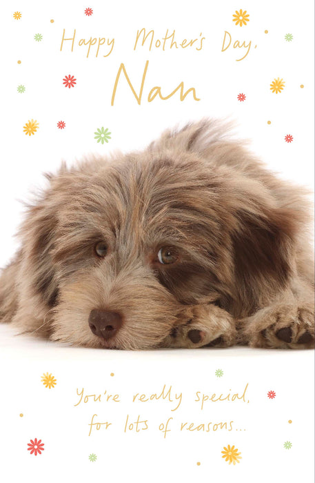 Talk to the Paw Mother's Day Card for Grandma, Cute Design, 566791