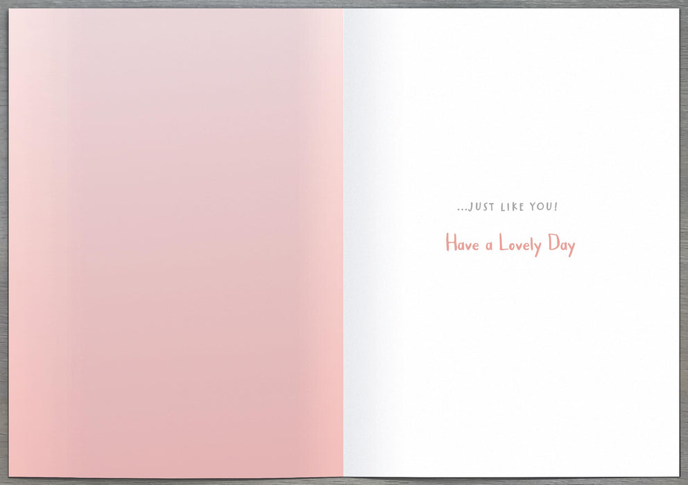 Nutmeg | Birthday Card Niece Cute | Happy Birthday Gifts | Her, Girls, Women | With Envelope