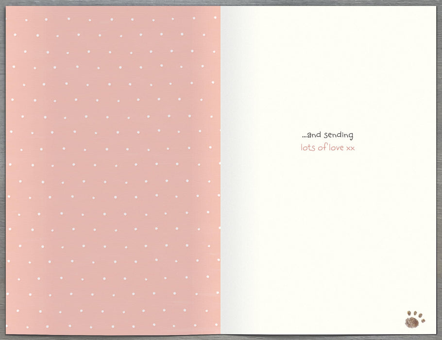 Lots | Open Thinking Of You Cute | Card & Gift | With Envelope