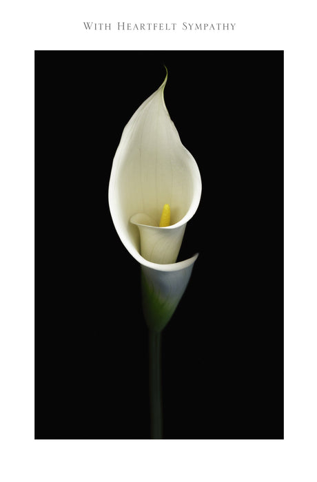 Gibson Sympathy Card for Conv, Conv Design