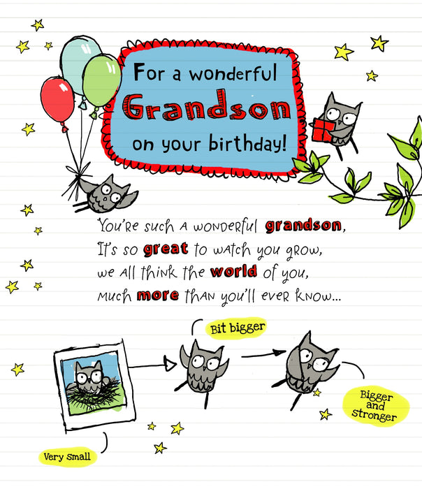 Oodles of Doodles Birthday Card for Grandson, Cute Design