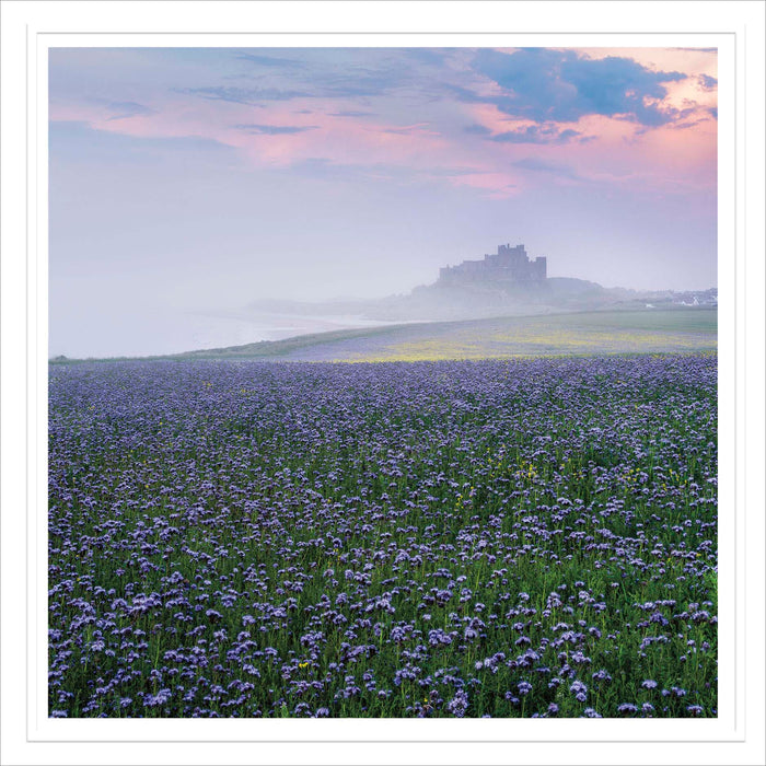 Take a View Open Card for Blank, Conv Design