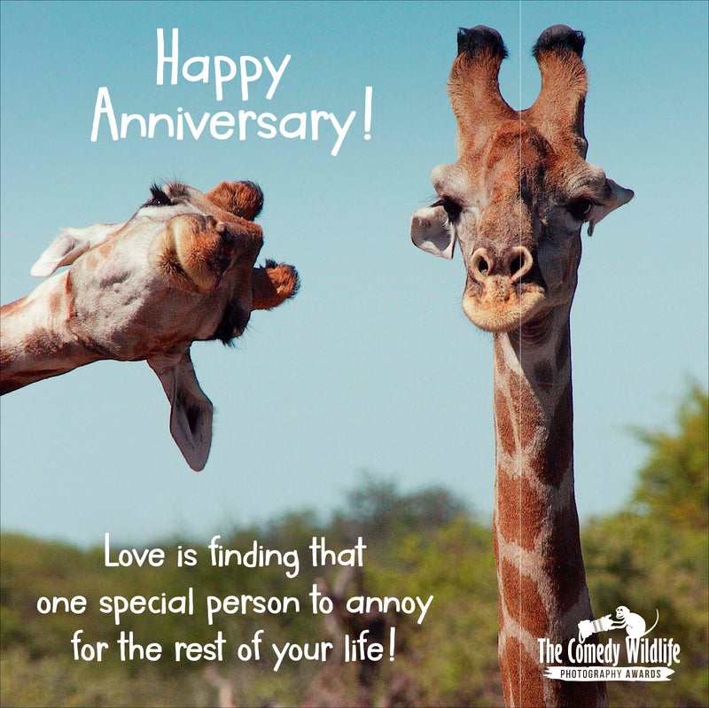 Comedy Wildlife | Anniversary Card | Humorous Design | With Envelope